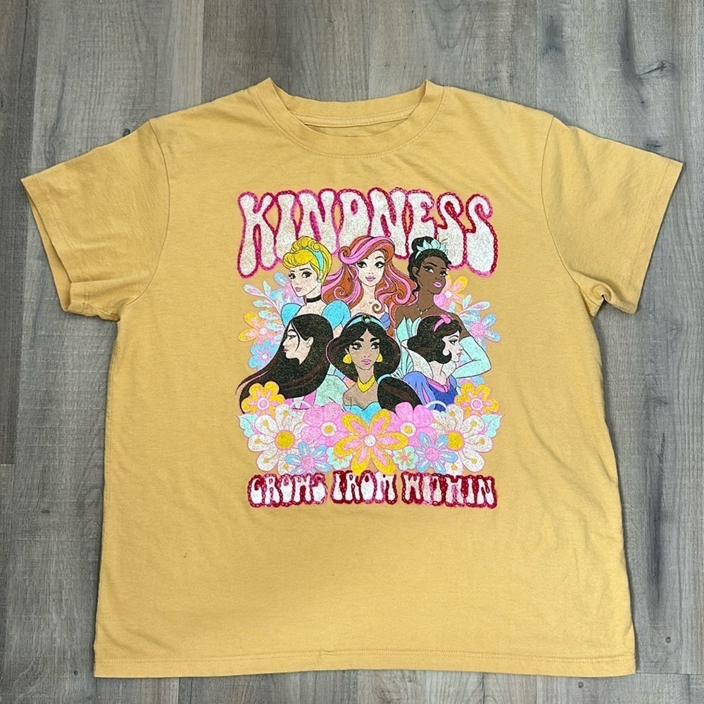 Distressed Disney princesses size medium customer embroidered tee